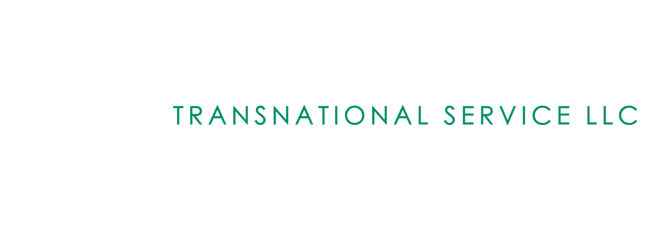Transnational Service LLC